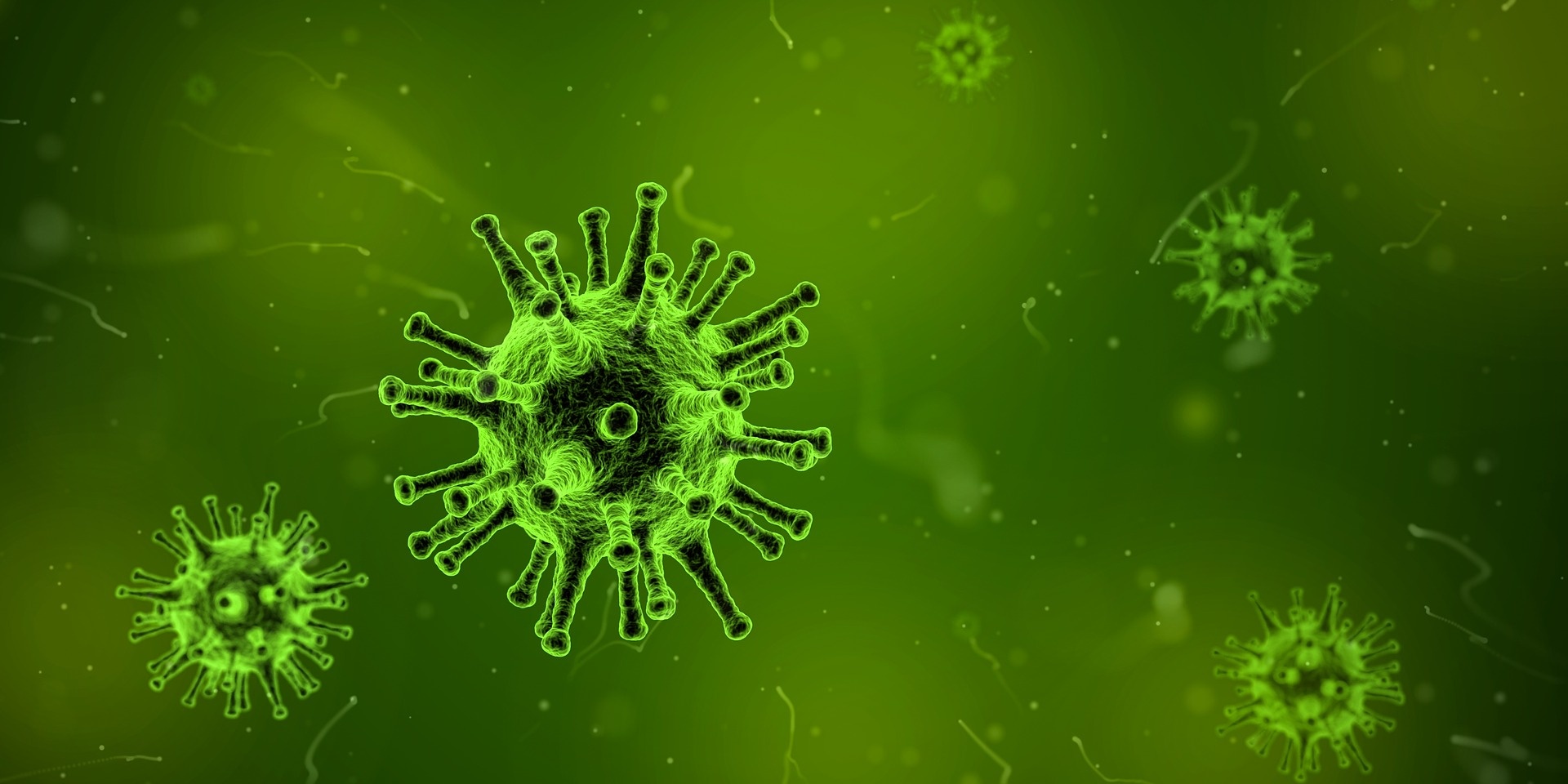Virus unter dem Miskrospkop